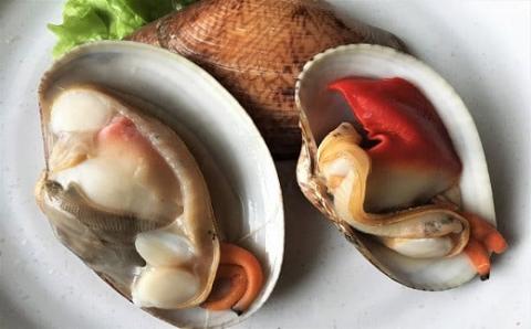 ☆冬季限定☆産直だから手に入る！ぶちうまヒメ貝！1ｋｇ【天然活】先行受付開始！2026年2月7日以降のお届け