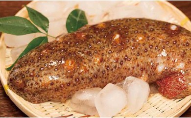 ☆冬季限定☆＜周防大島産＞天然活赤なまこ 3kg【先行受付開始！2026年1月20日以降のお届け】