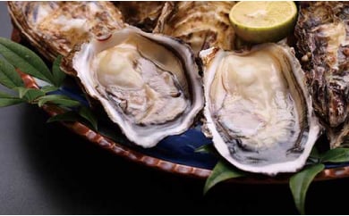 ★期間限定★＜周防大島産＞特大！天然！殻付き岩牡蠣　5個【先行受付開始！2026年5月15日以降のお届け】