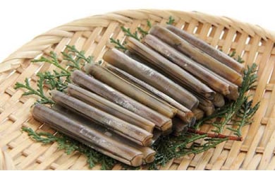 ＜1本1本獲ってます！＞周防大島産　天然活マテ貝 500ｇ