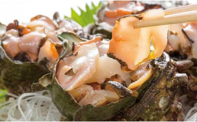 周防大島産のべっぴんさざえ【天然活・つぼ焼き用サイズ】15個