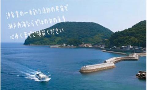 沖家室島の一本釣り漁師のお宿で旬の味覚に舌鼓ペア宿泊券