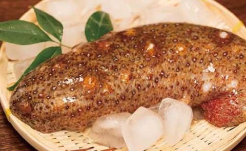 ☆冬季限定☆＜周防大島産＞天然活赤なまこ 500g【先行受付開始！2026年1月20日以降のお届け】