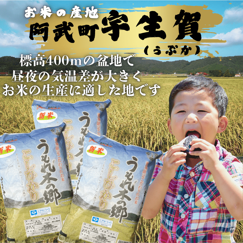 令和7年産 阿武町 「 うもれ木の郷 」 こしひかり 2kg×3袋 【 エコやまぐち認証 】新米 コシヒカリ 山口県