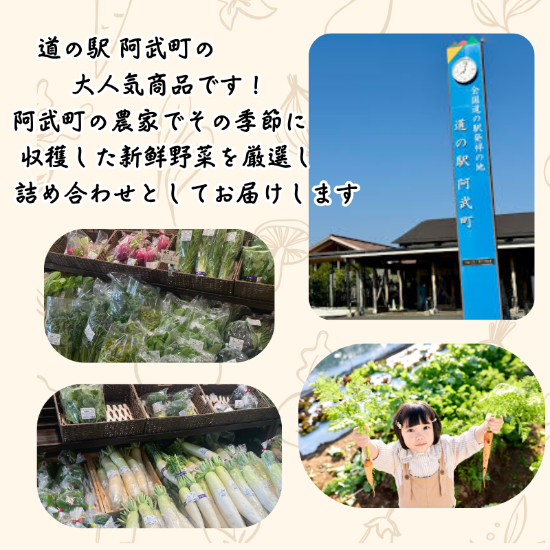 【 阿武町 野菜 詰め合わせ おまかせ 旬野菜 】 野菜セット 旬野菜 新鮮野菜 国産野菜 阿武町産 ご当地野菜 季節野菜 おいしい野菜 やさい 野菜 旬 新鮮 美味しい おいしい お任せ 道の駅 阿武町 山口県 お取り寄せ