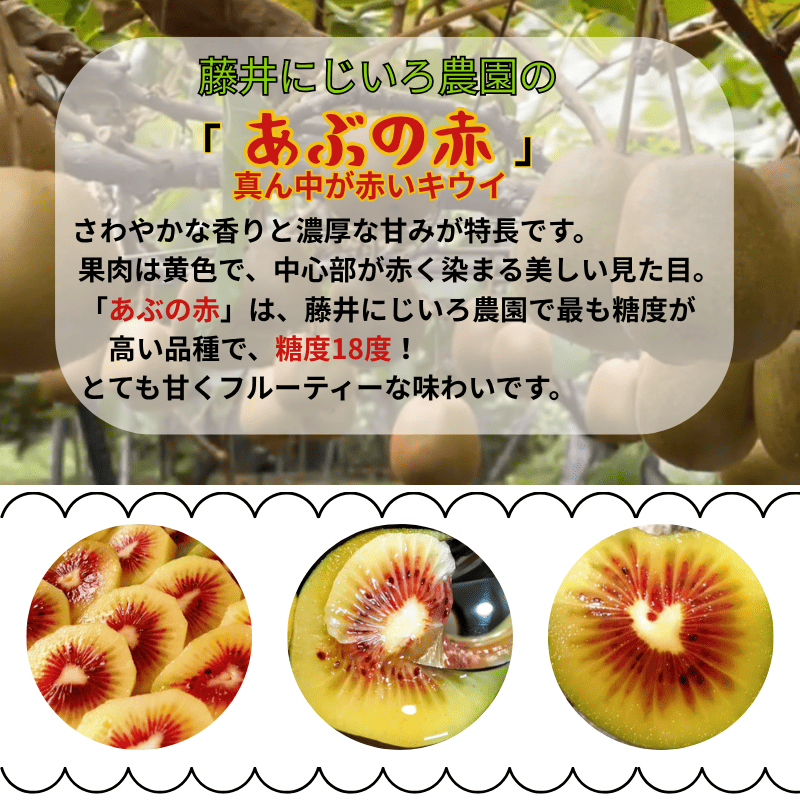 あぶの赤 真ん中が赤い キウイ 約490g 希少品種 赤い果肉の極甘キウイ フルーツ 果物 旬 《お届け：2025年10月20日頃～2025年12月20日頃出荷》 山口県 阿武町産 デザート