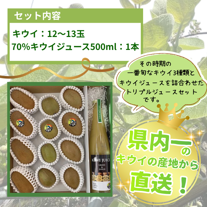キウイ フルーツ 食べ比べ アソート 3種 約1.4kg & キウイジュース 500mlセット（果汁70％） 阿武町産 キウイトリプル ジュースセット フルーツ 果物詰め合わせ 《お届け：2025年11月14日頃～2026年1月31日頃 出荷予定》 山口県 阿武町