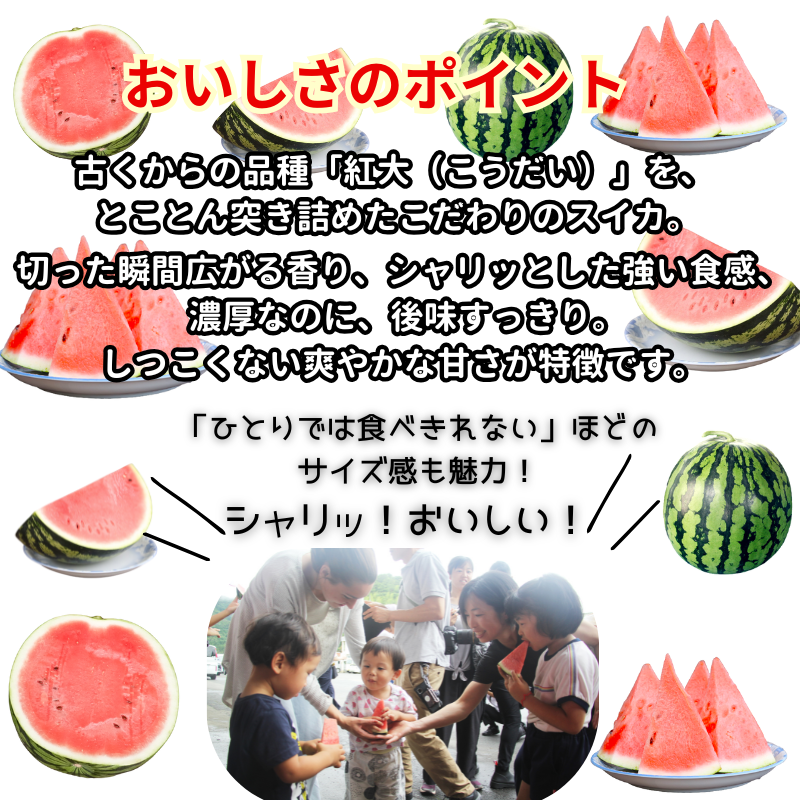 【先行予約】 福賀 すいか 秀大 約9〜10kg 圧巻の大玉＆シャリシャリ食感 高糖度 山口県 阿武町産 1個（希少1株1玉栽培） 産地直送 【2026年7月上旬～順次発送予定】