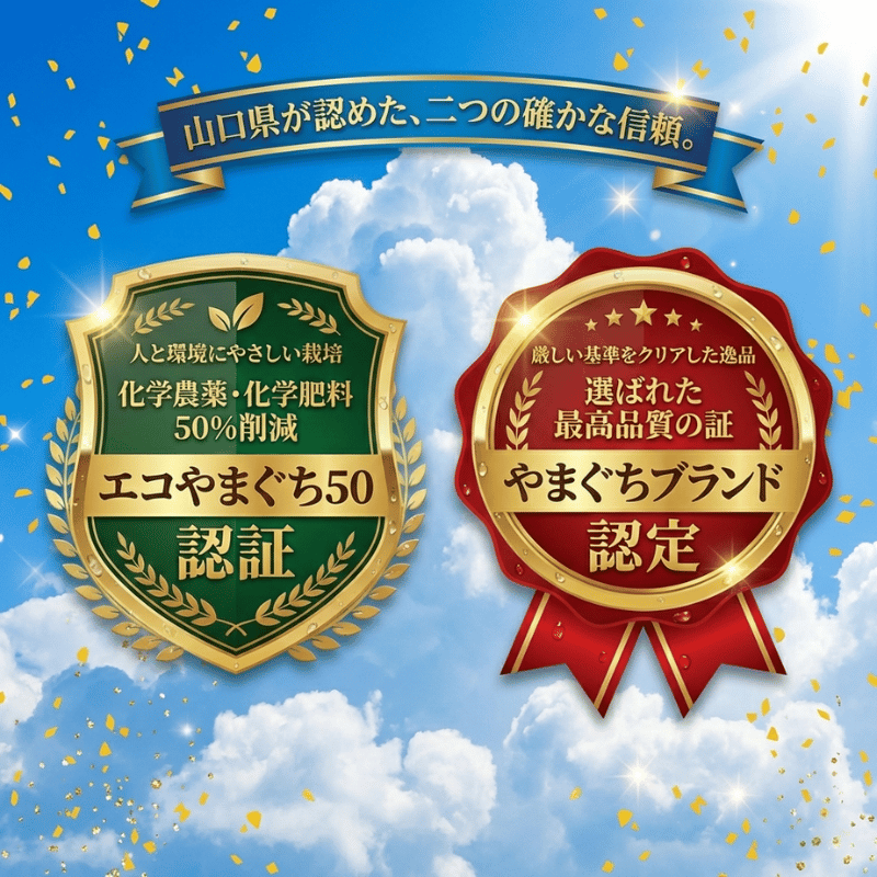 【先行予約】1株1玉獲りの自信作「福賀 すいか」秀大 約9kg～10kg 1個　果物類・スイカ　お届け：2026年7月上旬以降順次発送予定