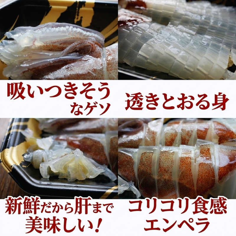 阿武町産 イカ 活きイカ 姿造り いか刺し 割烹千代 超瞬間冷凍 烏賊