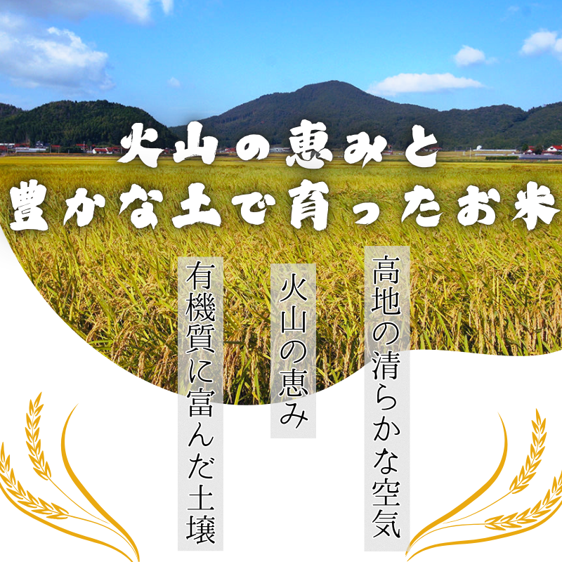 令和7年産 阿武町 「 うもれ木の郷 」 こしひかり 2kg×3袋 【 エコやまぐち認証 】新米 コシヒカリ 山口県