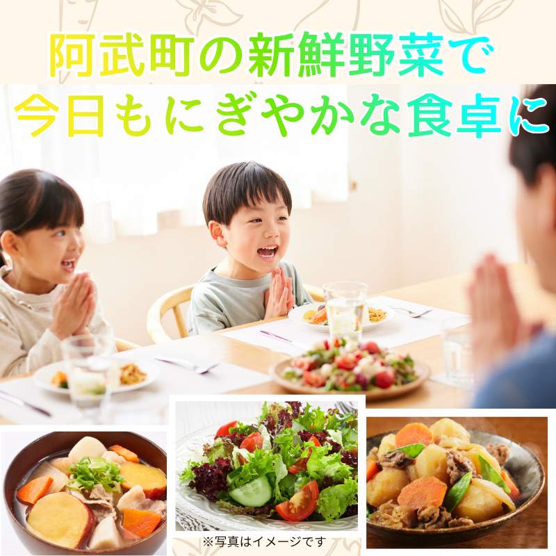 【 阿武町 野菜 詰め合わせ おまかせ 旬野菜 】 野菜セット 旬野菜 新鮮野菜 国産野菜 阿武町産 ご当地野菜 季節野菜 おいしい野菜 やさい 野菜 旬 新鮮 美味しい おいしい お任せ 道の駅 阿武町 山口県 お取り寄せ