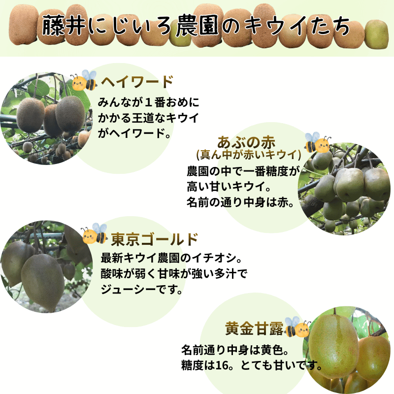 キウイ フルーツ 食べ比べ アソート 3種 約1.4kg & キウイジュース 500mlセット（果汁70％） 阿武町産 キウイトリプル ジュースセット フルーツ 果物詰め合わせ 《お届け：2025年11月14日頃～2026年1月31日頃 出荷予定》 山口県 阿武町