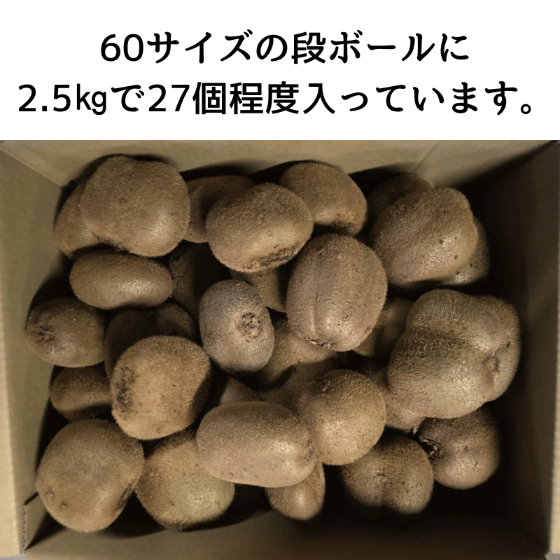 阿武町産 キウイ 訳ありヘイワード（2.5kg）