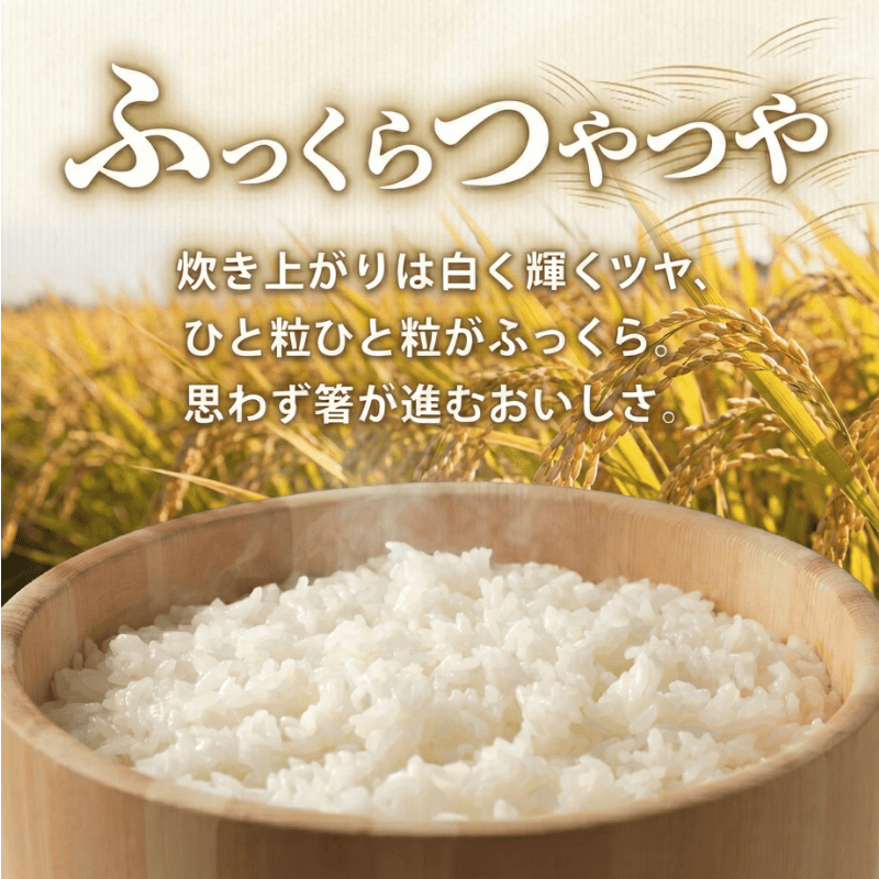 令和7年産 阿武町 「 うもれ木の郷 」 こしひかり 2kg×3袋 【 エコやまぐち認証 】新米 コシヒカリ 山口県