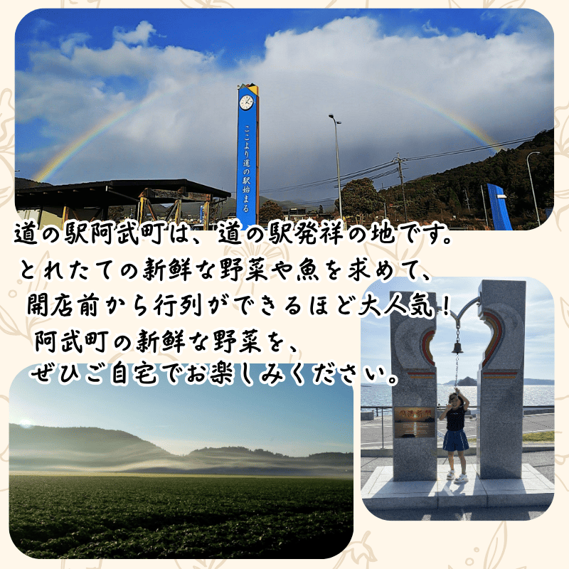 【 阿武町 野菜 詰め合わせ おまかせ 旬野菜 】 野菜セット 旬野菜 新鮮野菜 国産野菜 阿武町産 ご当地野菜 季節野菜 おいしい野菜 やさい 野菜 旬 新鮮 美味しい おいしい お任せ 道の駅 阿武町 山口県 お取り寄せ