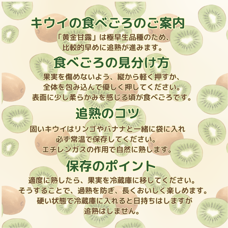 キウイ フルーツ 黄金甘露 約1.9kg 希少品種 甘くてジューシー 早生品種 フルーツ 果物 旬 《お届け：2025年9月20日頃～2025年10月20日頃出荷》 山口県 阿武町産 デザート