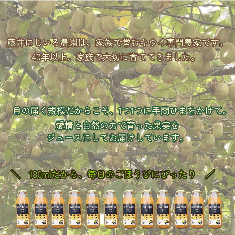 阿武町産 完熟 キウイ フルーツ 70％ ストレートジュース 180ml×12本セット 飲みきりサイズ 朝食 や毎日の ビタミン 補給 に最適 フルーツジュース