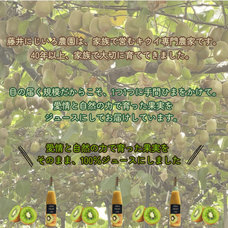 阿武町産 完熟キウイ 100％ジュース 500ml×3本セット 高品質 高濃度 滑らか果実感 1本にキウイ11個分 キウイ100% 果汁100% 自然の甘み まるごとキウイ 果実飲料