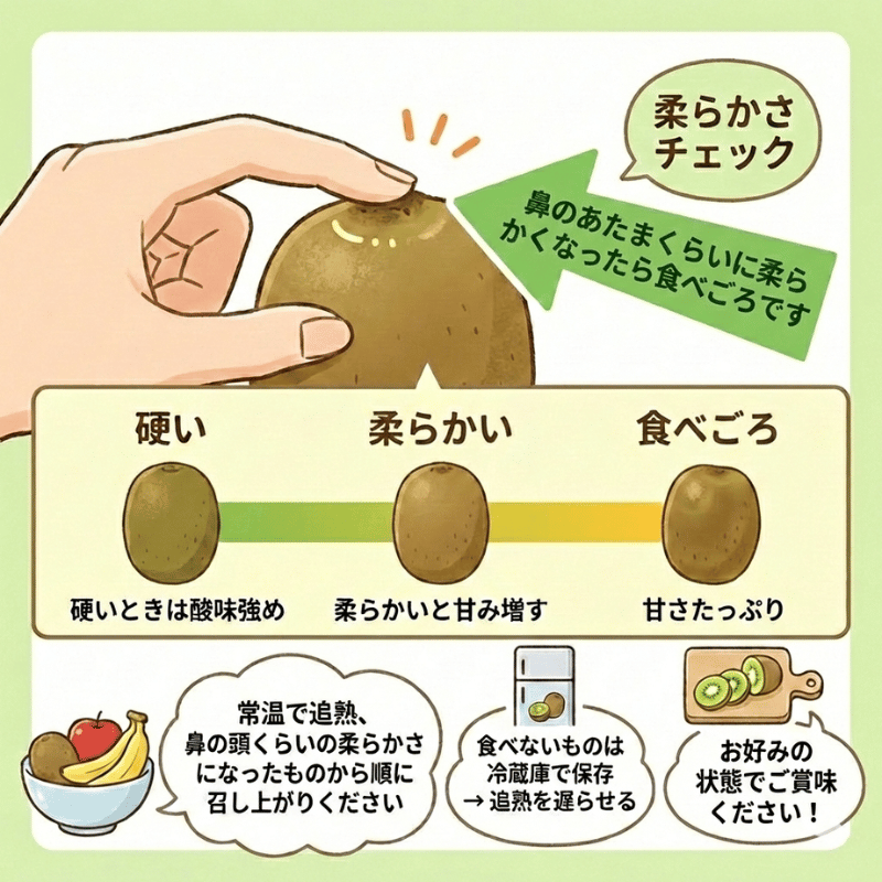 阿武町産 キウイ 訳ありヘイワード（9㎏）