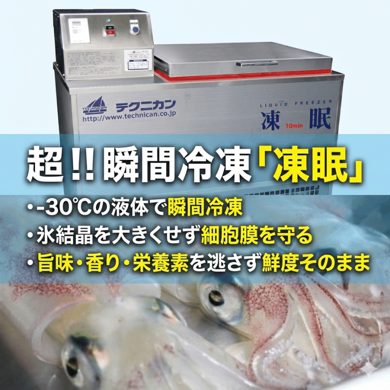 阿武町産 イカ 活きイカ 姿造り いか刺し 割烹千代 超瞬間冷凍 烏賊