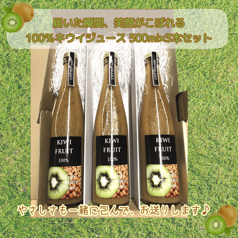 阿武町産 完熟キウイ 100％ジュース 500ml×3本セット 高品質 高濃度 滑らか果実感 1本にキウイ11個分 キウイ100% 果汁100% 自然の甘み まるごとキウイ 果実飲料