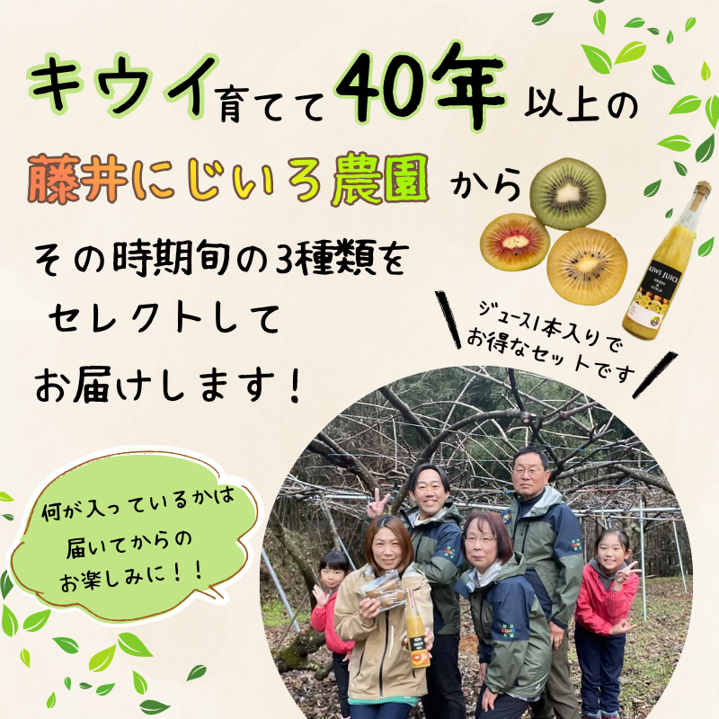キウイ フルーツ 食べ比べ アソート 3種 約1.4kg & キウイジュース 500mlセット（果汁70％） 阿武町産 キウイトリプル ジュースセット フルーツ 果物詰め合わせ 《お届け：2025年11月14日頃～2026年1月31日頃 出荷予定》 山口県 阿武町