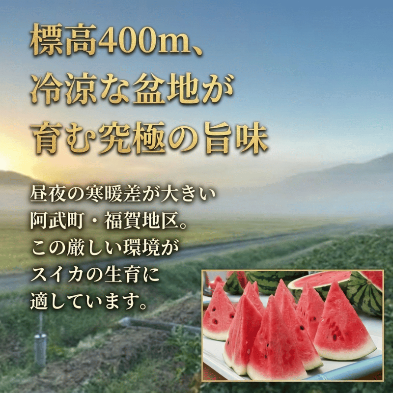 【先行予約】1株1玉獲りの自信作「福賀 すいか」秀大 約9kg～10kg 1個　果物類・スイカ　お届け：2026年7月上旬以降順次発送予定