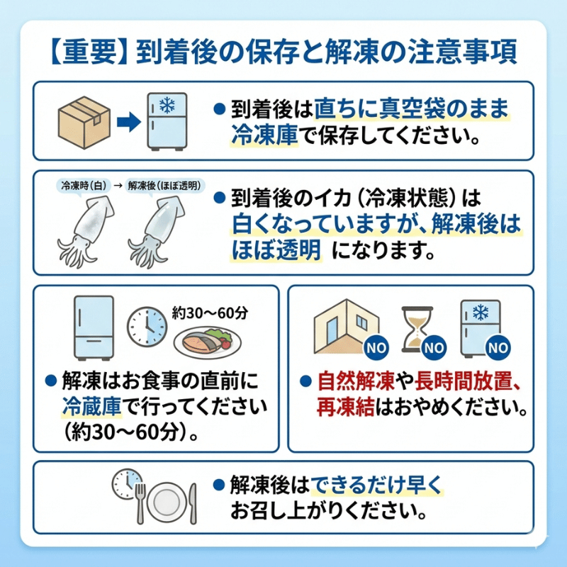 阿武町産 イカ 活きイカ 姿造り いか刺し 割烹千代 超瞬間冷凍 烏賊