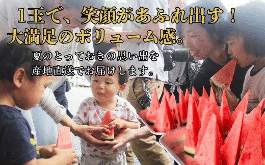 【先行予約】1株1玉獲りの自信作「福賀 すいか」秀大 約9kg～10kg 1個　果物類・スイカ　お届け：2026年7月上旬以降順次発送予定