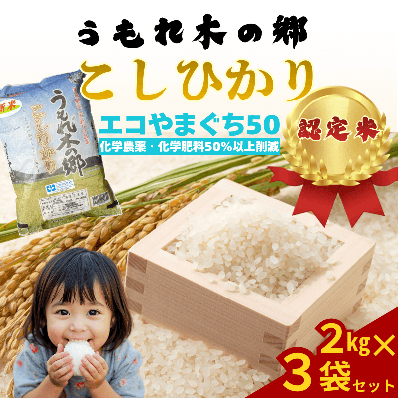 令和7年産 阿武町 「 うもれ木の郷 」 こしひかり 2kg×3袋 【 エコやまぐち認証 】新米 コシヒカリ 山口県