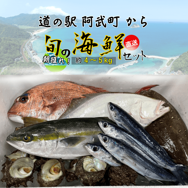 山口県 阿武町 道の駅 厳選 ！ 当日水揚げ 鮮魚 セット 約4～5kg 新鮮 豪華 旬 獲れたて 魚 さかな サザエ 海鮮