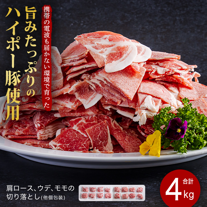 豚肉 阿武町産 豚 切り落とし 4kgセット | 携帯の電波も届かない環境で育った旨みたっぷりのハイポー豚 豚 肉 お肉 ※配送不可:離島