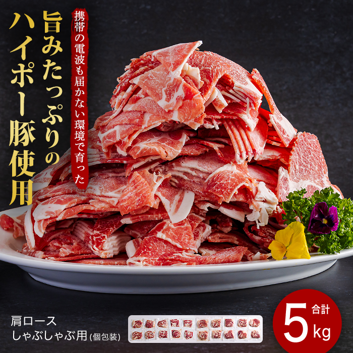豚肉 肩ロース しゃぶしゃぶ 250g×20パック 小分けセット | 携帯の電波も届かない環境で育った旨みたっぷりのハイポー豚 豚 肉 お肉 ※配送不可:離島