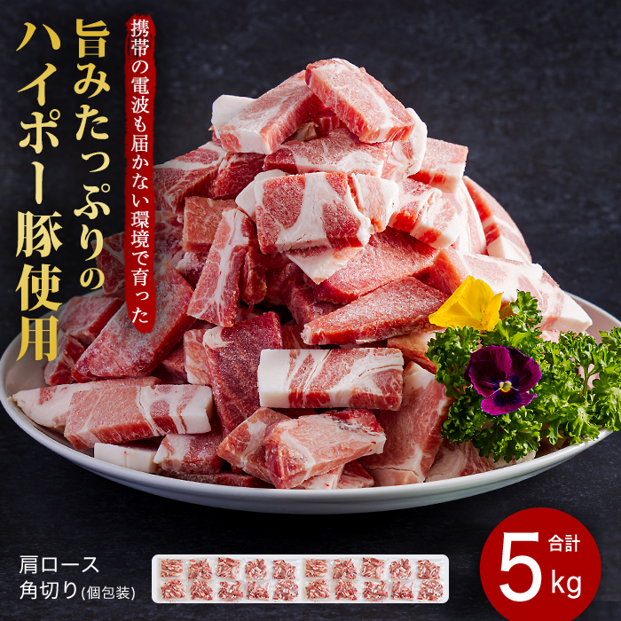 豚肉 阿武町産 豚肩ロース 角切り 250g×20パック 小分けセット | 携帯の電波も届かない環境で育った旨みたっぷりのハイポー豚 豚 肉 お肉 ※配送不可:離島