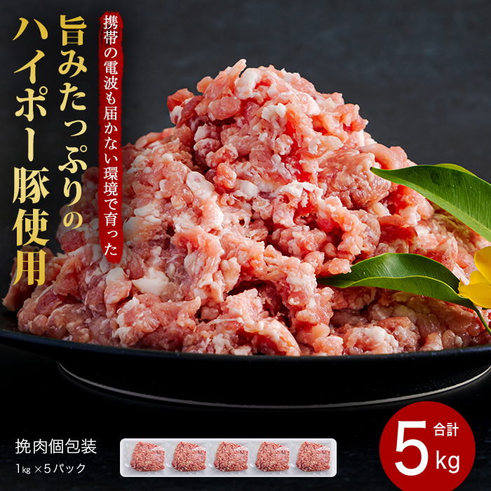 豚肉 阿武町産 豚挽肉 1kg×5パック 小分けセット | 携帯の電波も届かない環境で育った旨みたっぷりのハイポー豚 ひき肉 挽肉 豚 肉 お肉 ※配送不可:離島