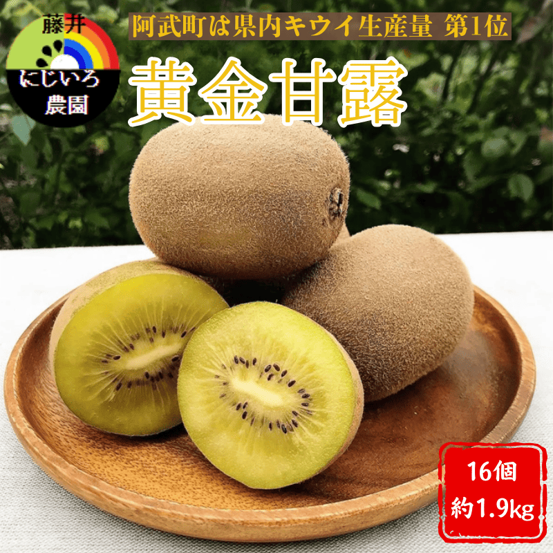 キウイ フルーツ 黄金甘露 約1.9kg 希少品種 甘くてジューシー 早生品種 フルーツ 果物 旬 《お届け：2025年9月20日頃～2025年10月20日頃出荷》 山口県 阿武町産 デザート