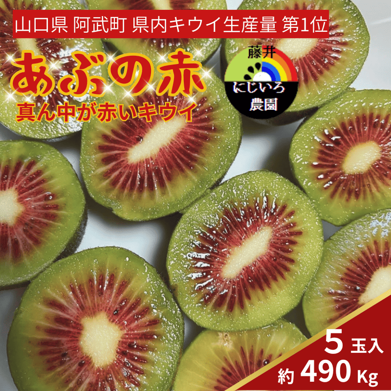 あぶの赤 真ん中が赤い キウイ 約490g 希少品種 赤い果肉の極甘キウイ フルーツ 果物 旬 《お届け：2025年10月20日頃～2025年12月20日頃出荷》 山口県 阿武町産 デザート