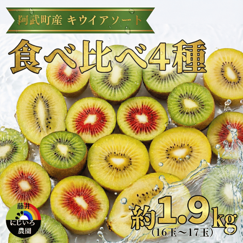 キウイ フルーツ 食べ比べ 4種 約1.9kg キウイアソート 果物 旬 《お届け：2025年11月14日頃～2026年1月31日頃出荷》 山口県 阿武町産 デザート 旬のキウイ 合計8種類の中から4種類をセレクト（品種指定不可）