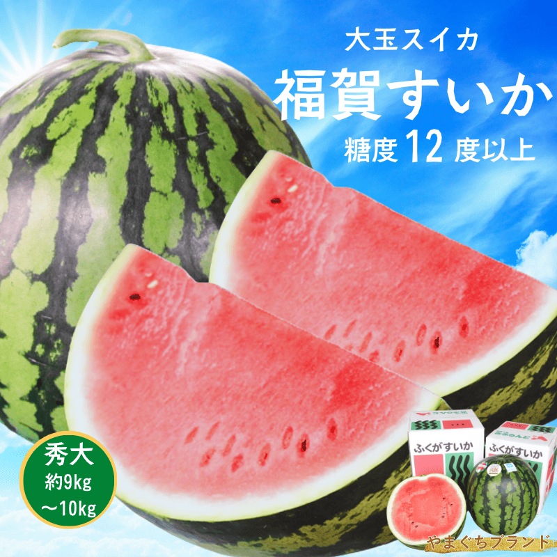 【先行予約】 福賀 すいか 秀大 約9〜10kg 圧巻の大玉＆シャリシャリ食感 高糖度 山口県 阿武町産 1個（希少1株1玉栽培） 産地直送 【2026年7月上旬～順次発送予定】