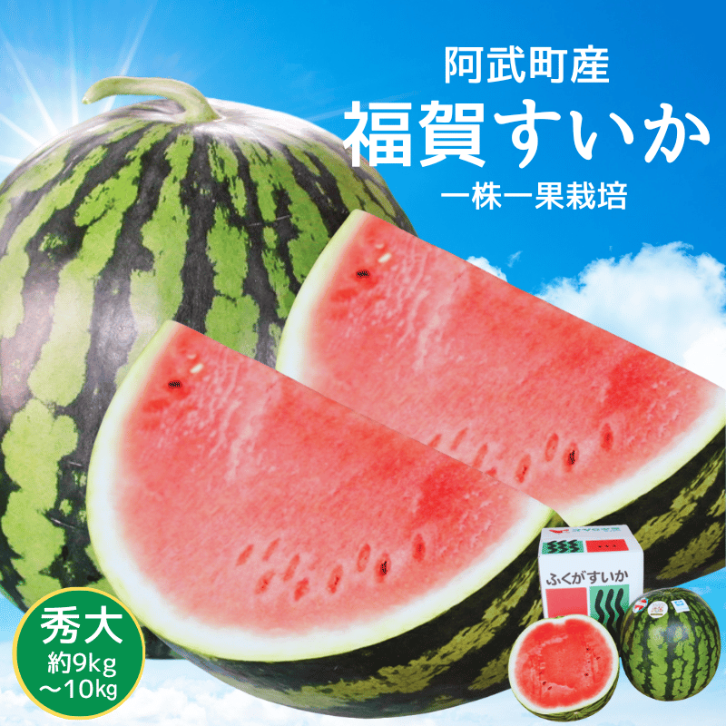 【先行予約】1株1玉獲りの自信作「福賀 すいか」秀大 約9kg～10kg 1個　果物類・スイカ　お届け：2026年7月上旬以降順次発送予定
