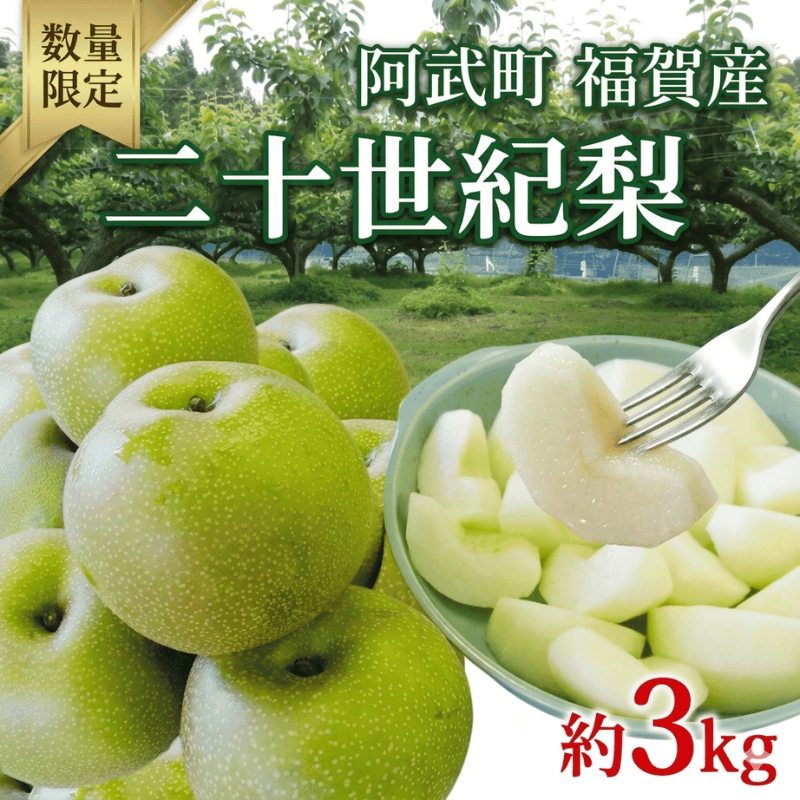 【先行予約】梨 福賀の二十世紀梨 約3kg 7玉 山口県阿武町産 高糖度 シャキシャキ食感 数量限定 【2026年8月下旬～9月中旬頃発送】