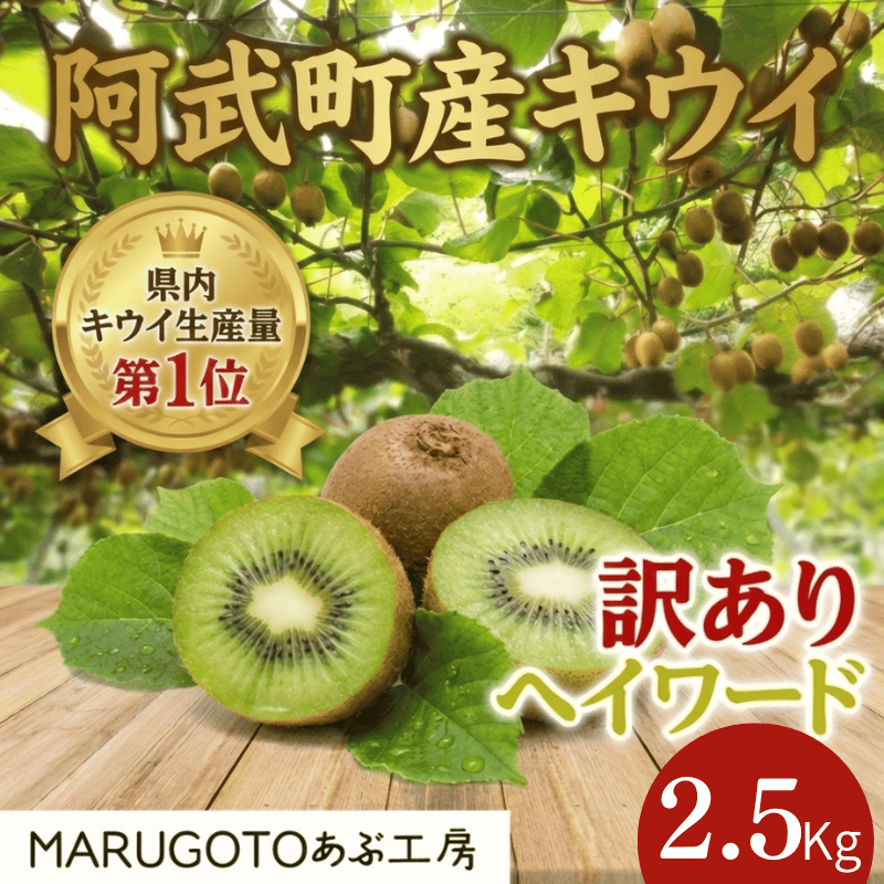 阿武町産 キウイ 訳ありヘイワード（2.5kg）