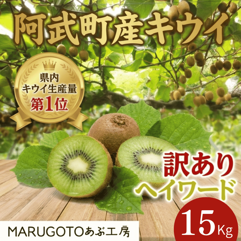 阿武町産 キウイ 訳ありヘイワード（15㎏）
