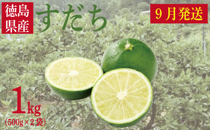 すだち 1kg 徳島県産 2025年9月から発送 ｜ 柑橘 果汁 皮 しぼり 絞り 汁 旬 みかん かぼす レシピ そうめん うどん そば パスタ 豚  肉 焼き 魚 ぶり さんま 輪 切り 保存 楽 ちん デザート シロップ