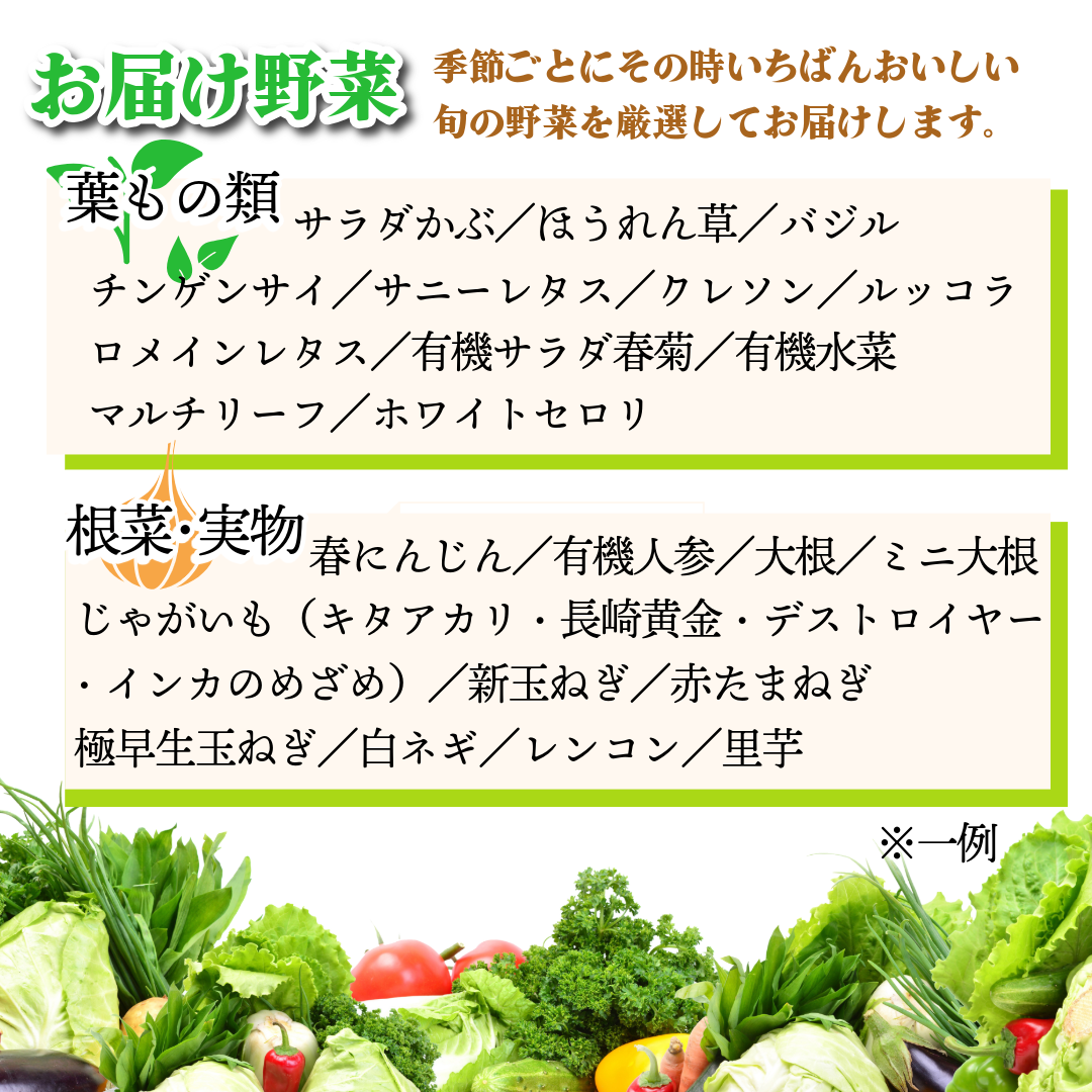 野菜 セット 9～10品 定期便 4回 季節 旬 野菜 詰め合せ 国産 季節 旬 おまかせ 産地直送 春野菜 夏野菜 秋野菜 葉物 果物 果菜 根菜 冷蔵 野菜室 ダイエット 食 栄養食 加工品 カット野菜