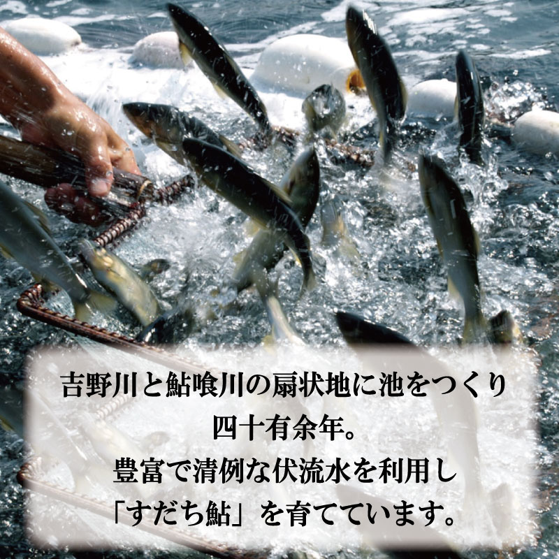 すだち 鮎 1kg あゆ 冷凍 すだち果汁 塩焼き 甘露煮 米 お米 ご飯 と一緒に うなぎ 鮭 かつお に負けない 魚 川魚 柑橘 BBQ 酒 つまみ 養殖 徳島