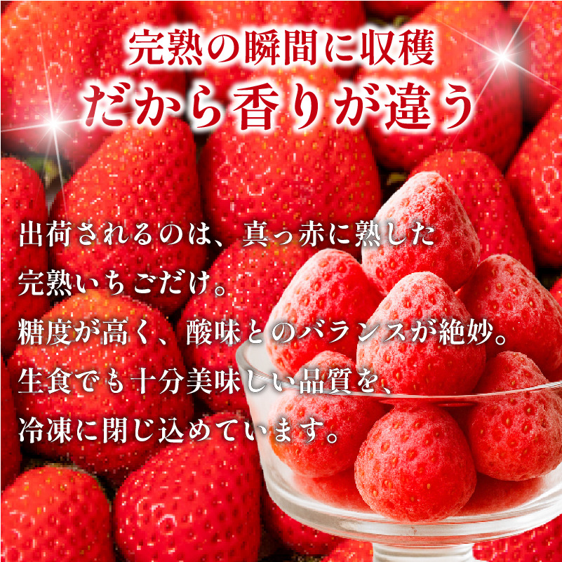 いちご 冷凍 オーガニック 1kg A品 苺 ストロベリー フルーツ 果物 くだもの 国産 洋菓子 和菓子 スイーツ お菓子 おやつ アイス ケーキ パフェ タルト ゼリー 徳島県