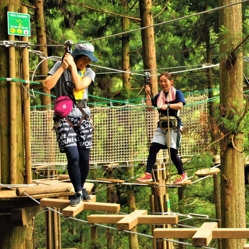 フォレストアドベンチャー 祖谷 体験チケット 2名様 施設利用券 徳島県 観光 クーポン ジップライン アクティビティ 遊び 体験 観光 トラベル チケット 自然 アスレチック 家族 ファミリー 三好 みよし ドリームチーム