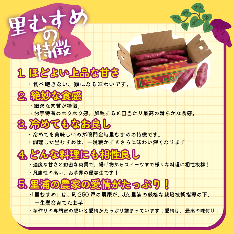なると金時 里むすめ 5kg Mサイズ 12月発送 《 徳島と言えば なると金時 ！》 さつまいも 鳴門金時 いも 芋 焼き芋 干し芋 スイーツ 貯蔵庫 熟成 国産 ブランド お土産 徳島 鳴門